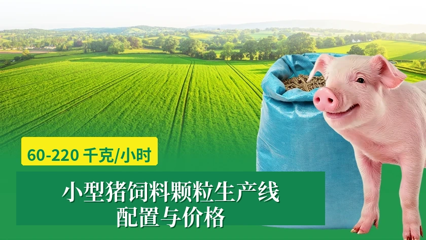 60-220 kg/h 小型猪饲料颗粒生产线配置及价格