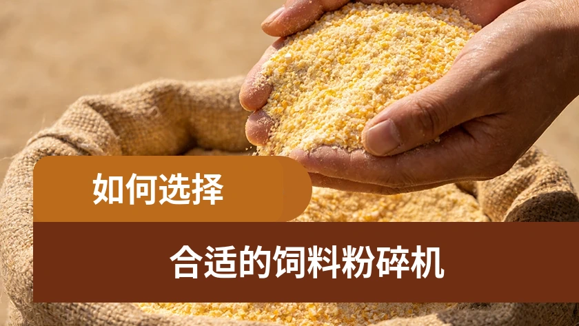 如何选择合适的饲料粉碎机