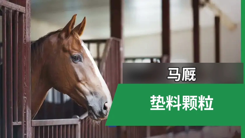 马用垫料颗粒：低灰尘、高吸水、低成本