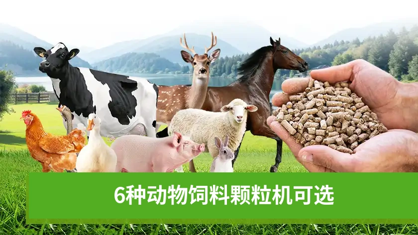 6 种常用动物饲料颗粒机推荐