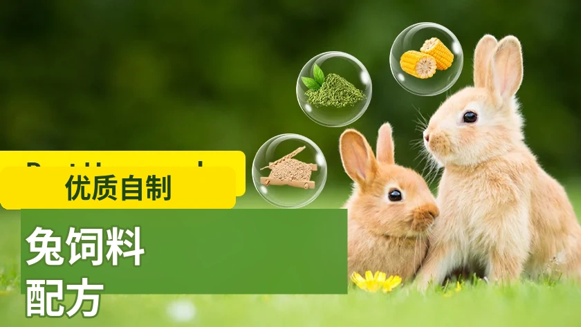 实用自制兔饲料配方参考
