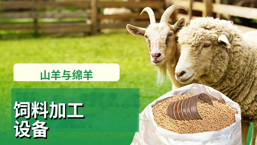 山羊和绵羊饲料加工设备推荐