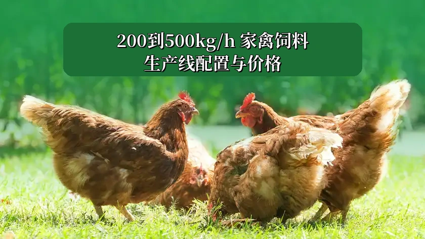 200–500 kg/h 家禽饲料生产线方案及价格