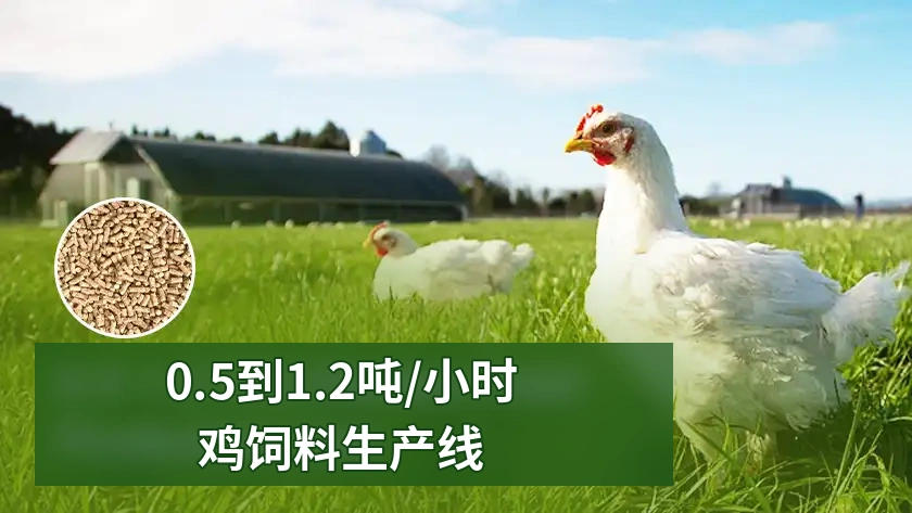 0.5–1.2 吨/小时完整家禽饲料生产线