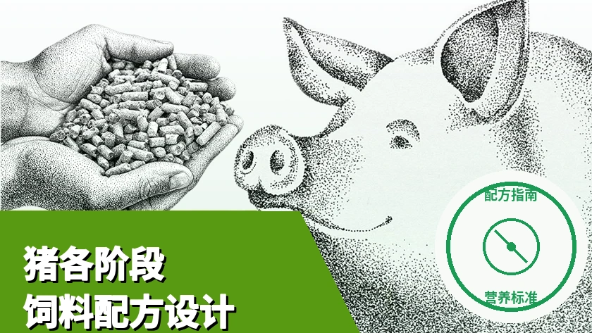 猪营养需求与饲料配方标准