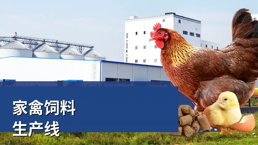 五种家禽饲料生产线解决方案