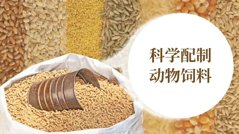 根据营养需求配制动物饲料指南