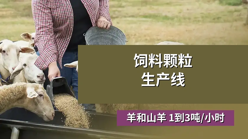 羊和山羊 1-3 T/H 饲料颗粒生产线