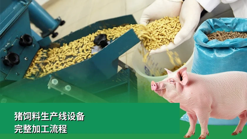 猪饲料生产线设备及完整加工流程