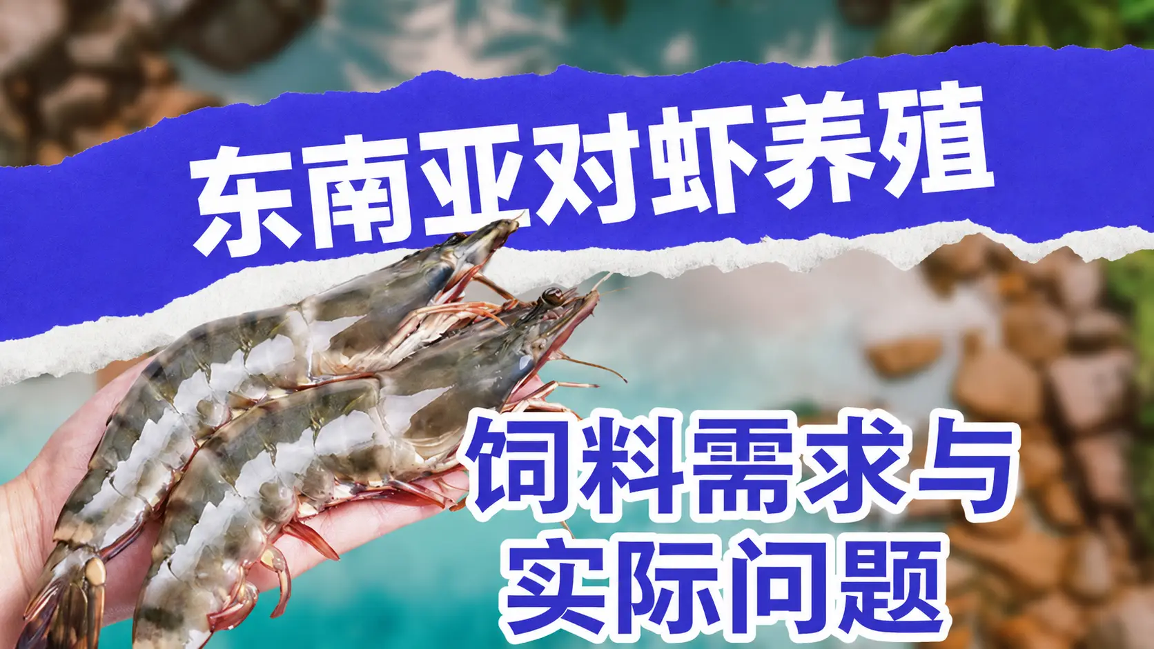 东南亚虾饲料成本与稳定性挑战