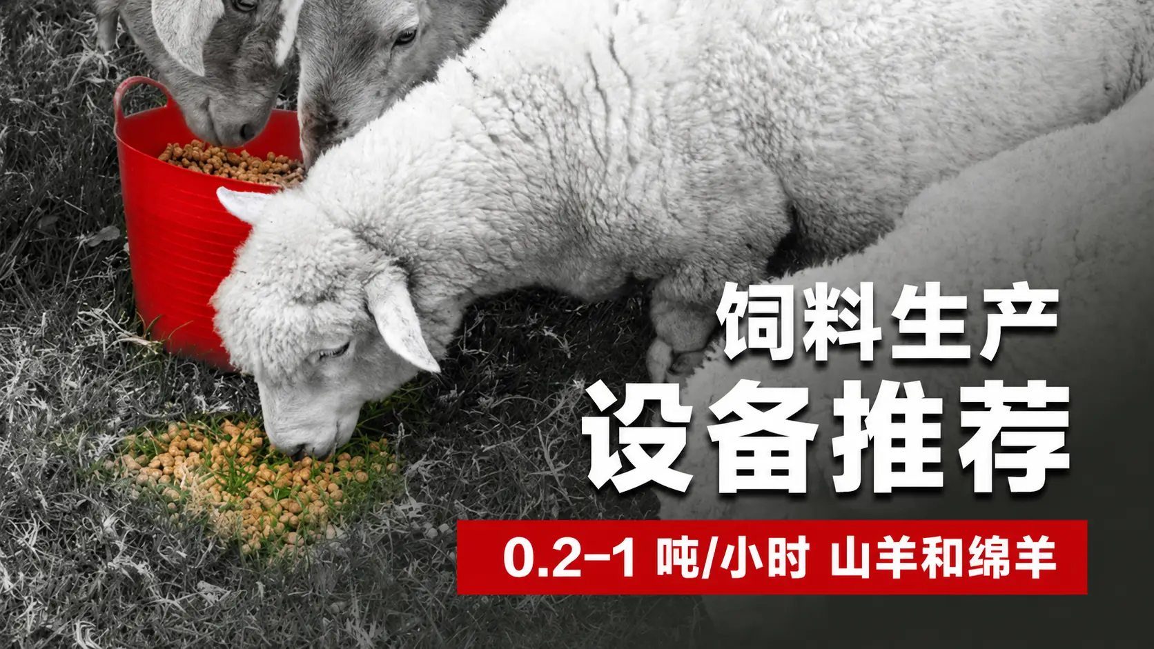 0.2–1 T/H 山羊和绵羊饲料加工设备推荐
