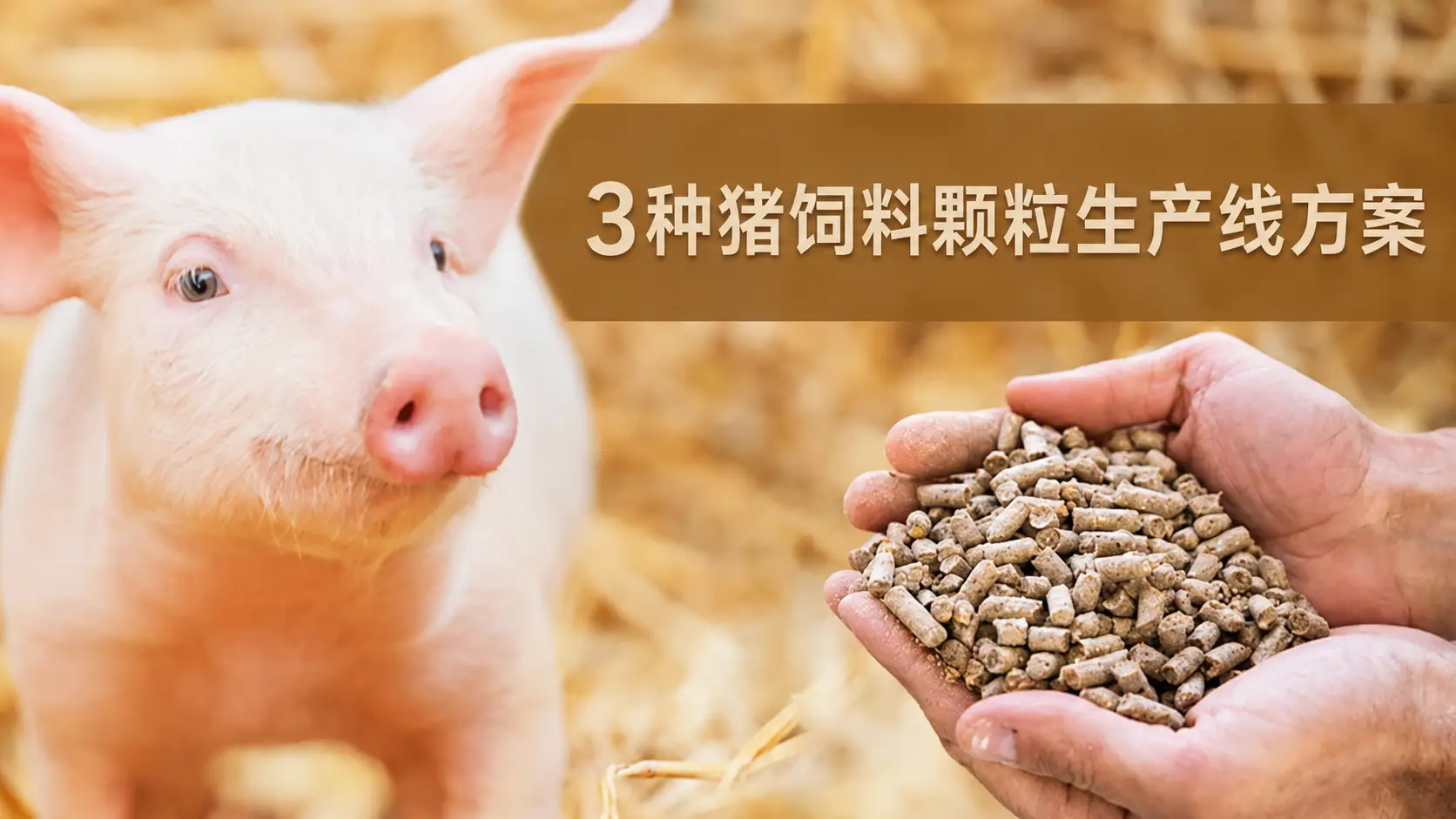 猪饲料颗粒生产线三种方案