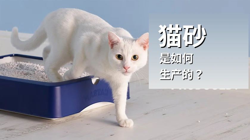 自制可生物降解猫砂：工艺与设备清单
