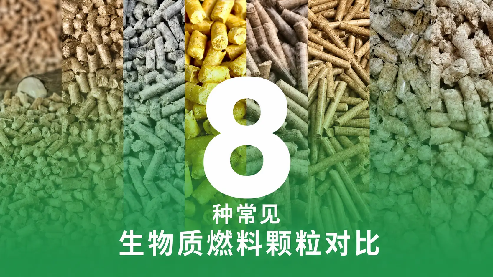 8种常见生物质燃料颗粒对比