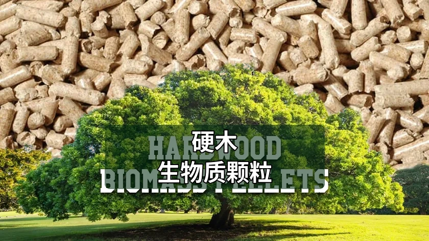 硬木生物质颗粒：原料、性能与用途