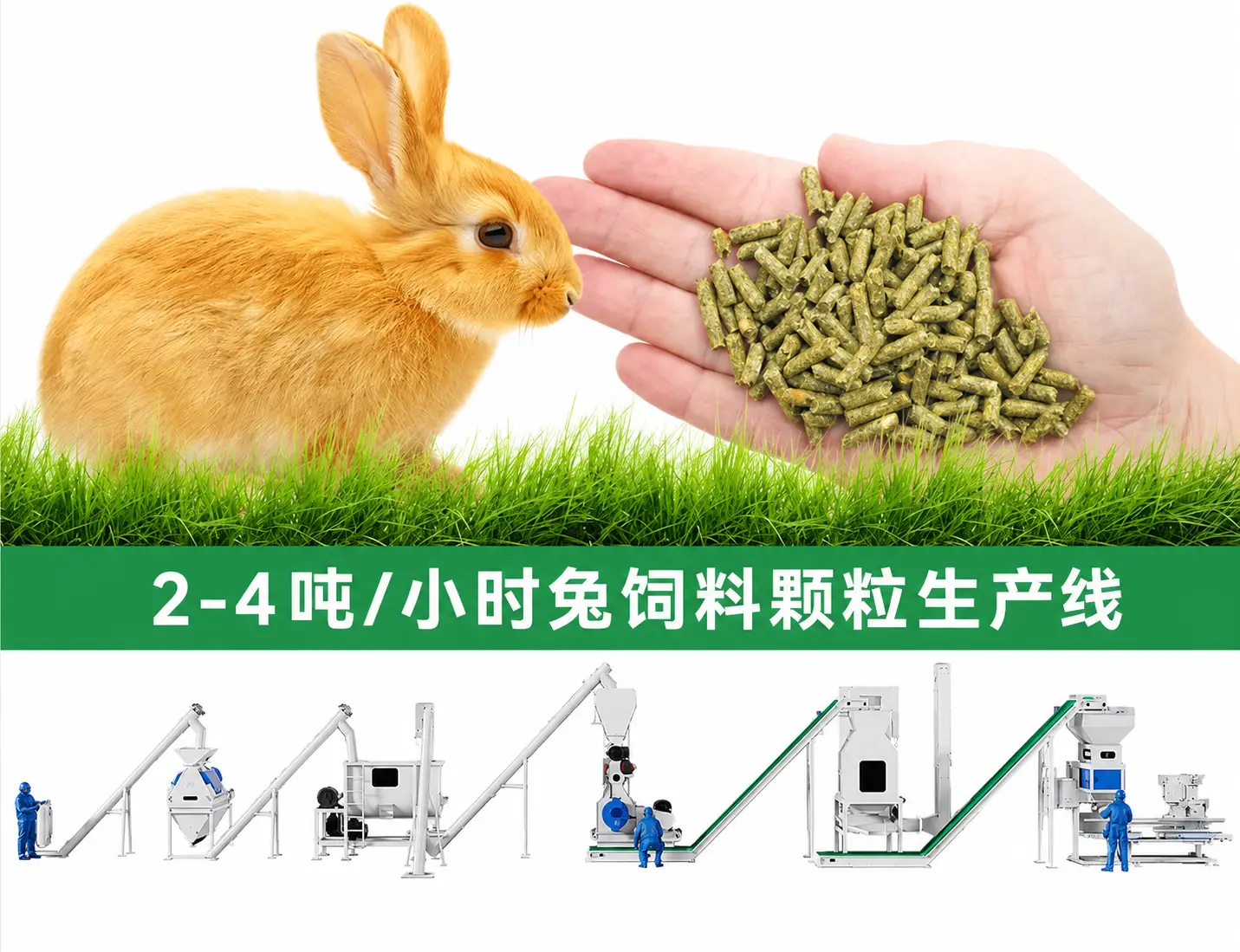 2–4 T/H 兔饲料颗粒生产线