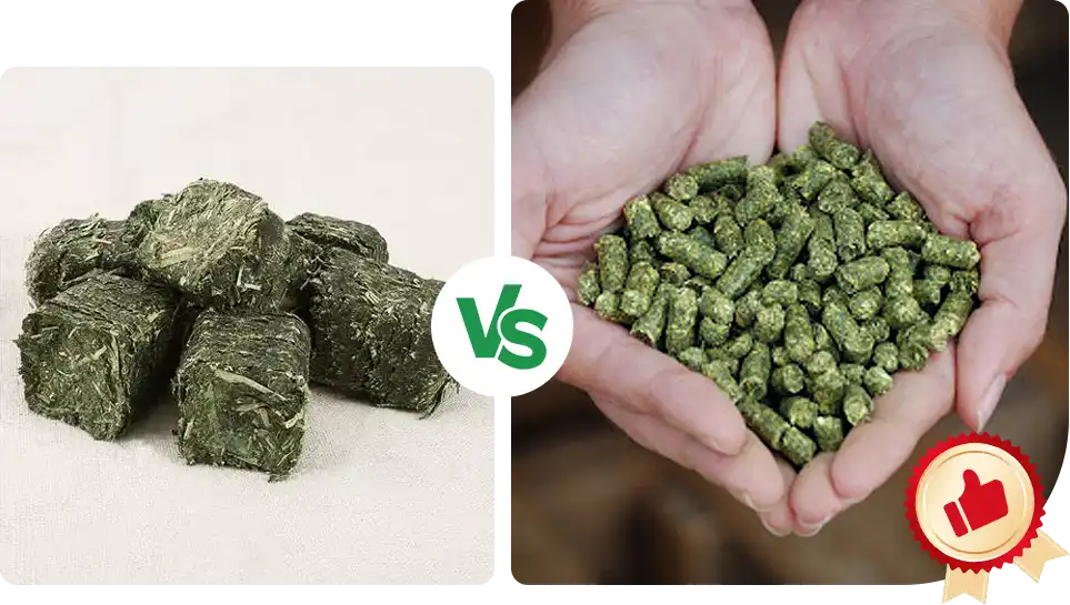 苜蓿块和颗粒