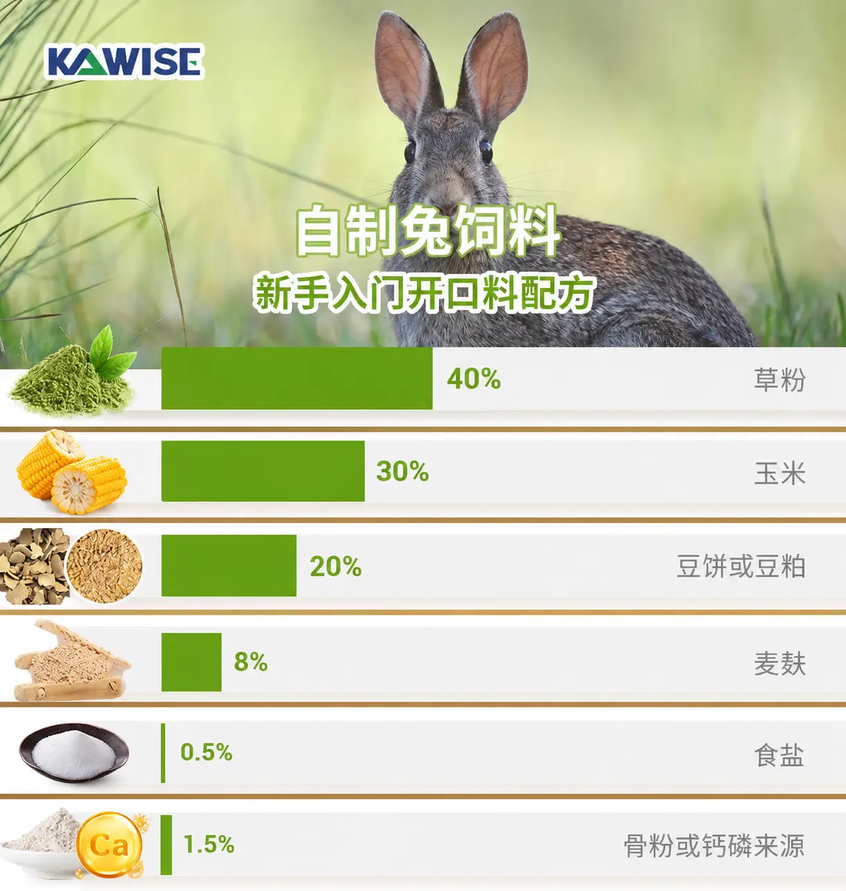 新手适用的安全兔饲料基础配方