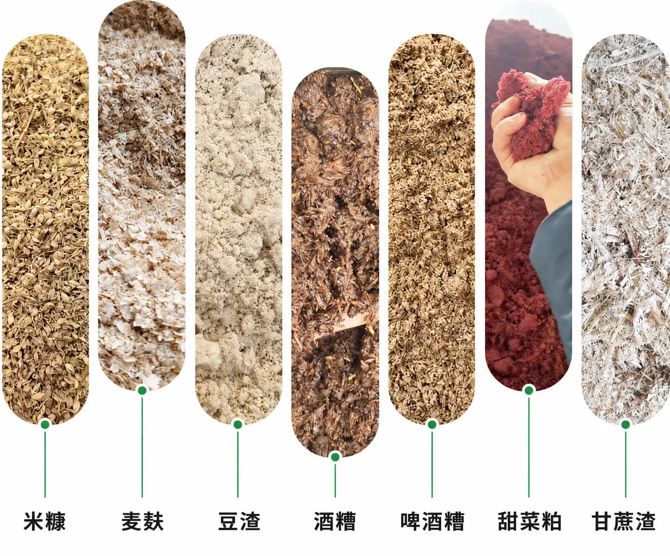 肉羊农副产品饲料