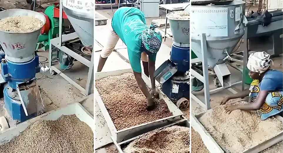 乌干达小型饲料加工场