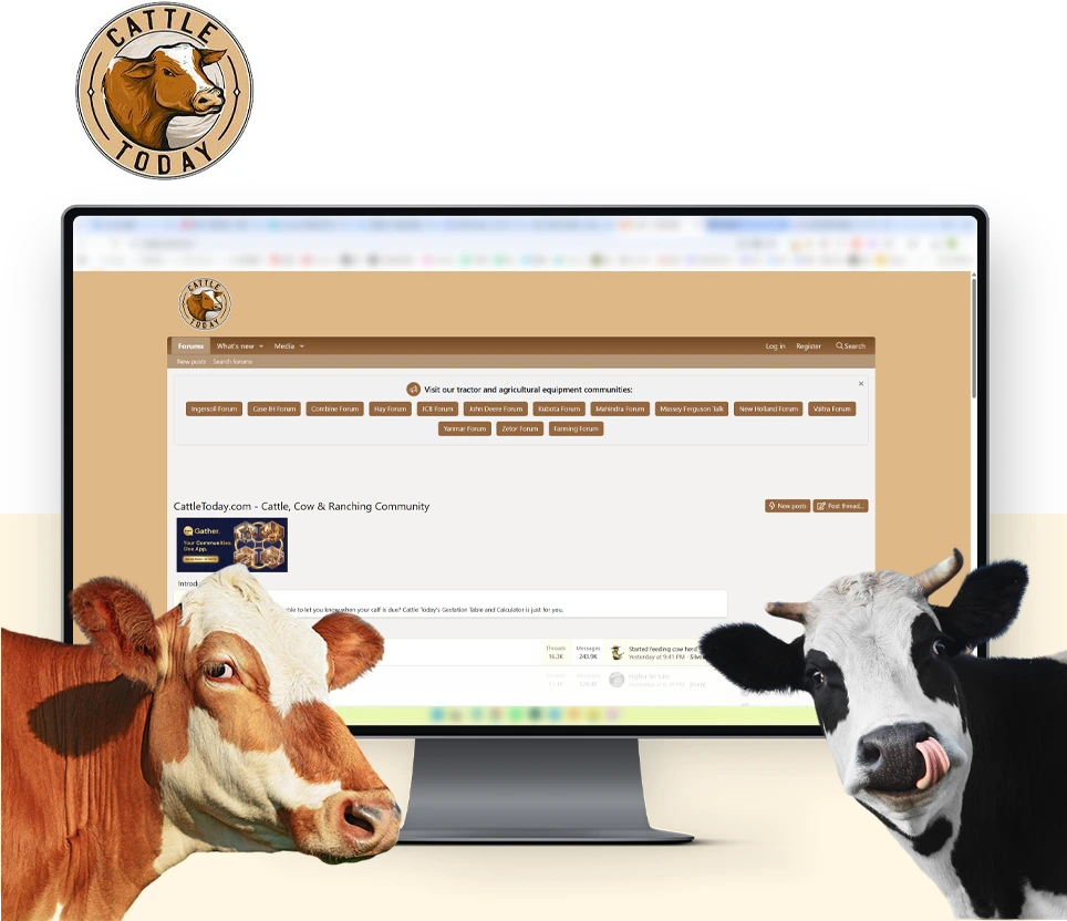 CattleToday 论坛
