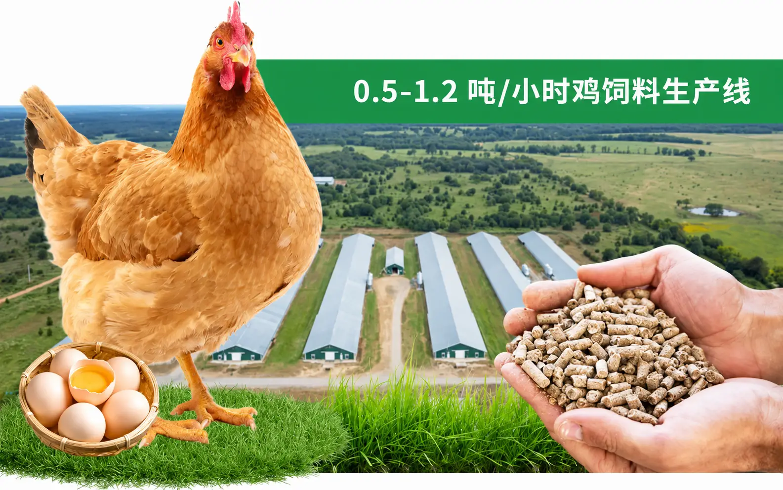 完整鸡饲料颗粒生产线