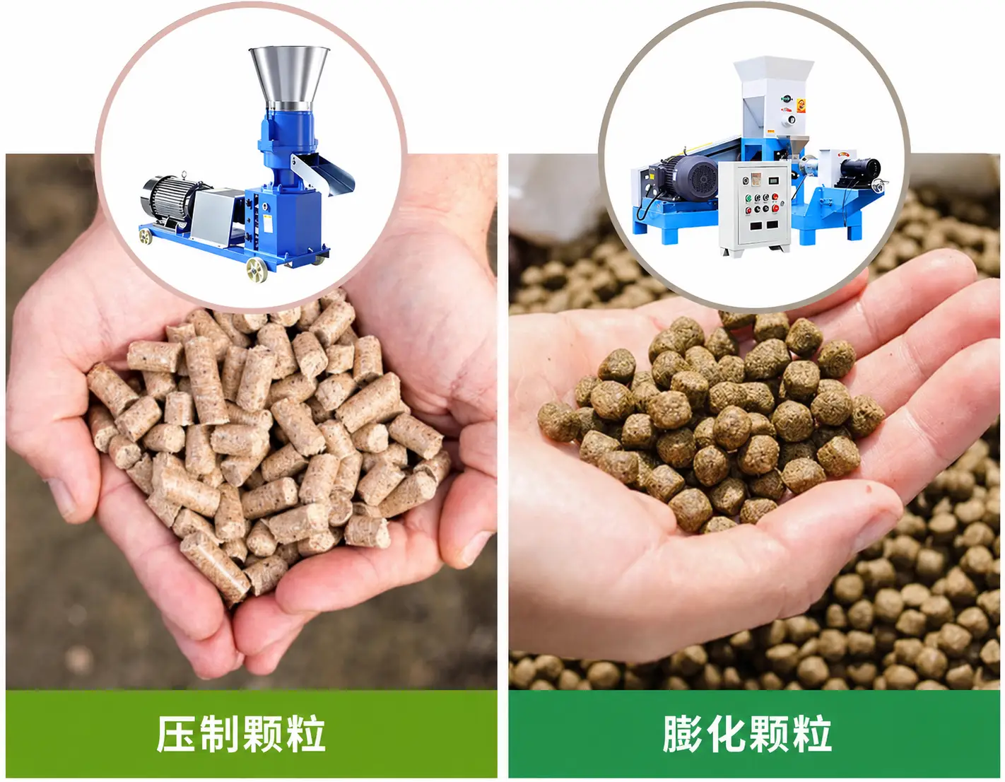 冷压颗粒与膨化颗粒对比