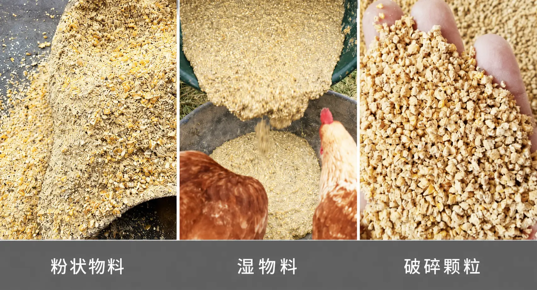 常见肉鸡饲料类型