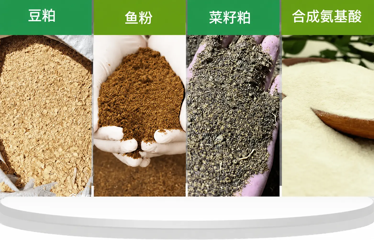 常用蛋白质和氨基酸原料