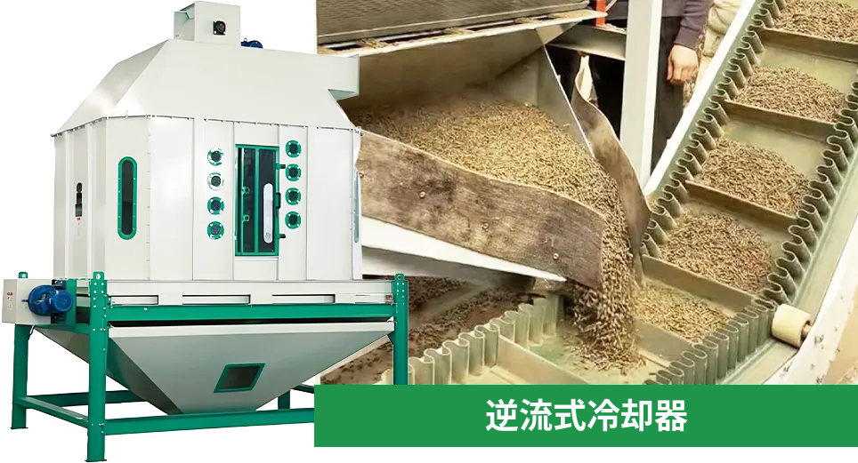 鹅饲料颗粒冷却干燥