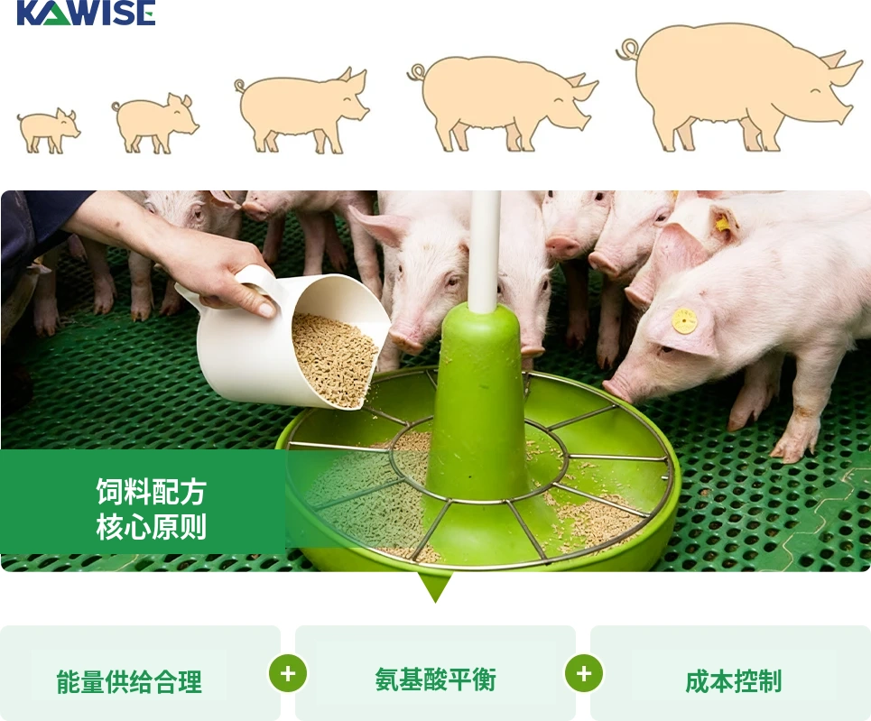 饲料配方核心原则