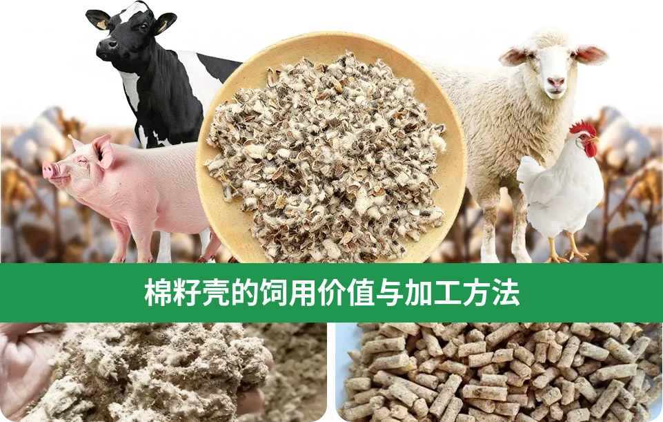 棉籽壳加工方法