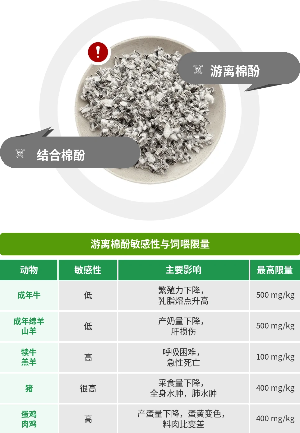 棉酚风险和使用限制