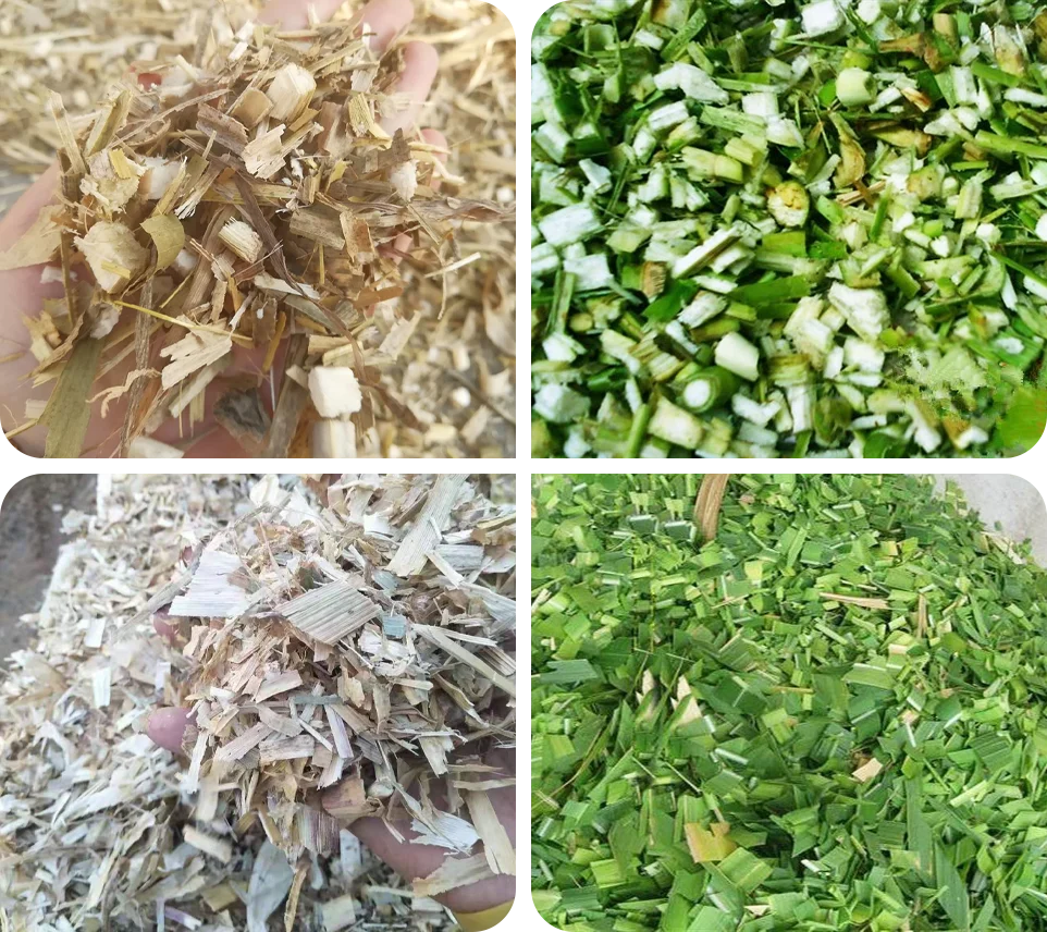 不同粗饲料的切割效果