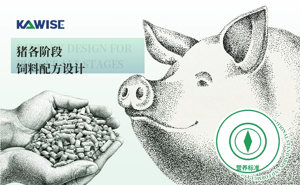 各阶段猪饲料设计