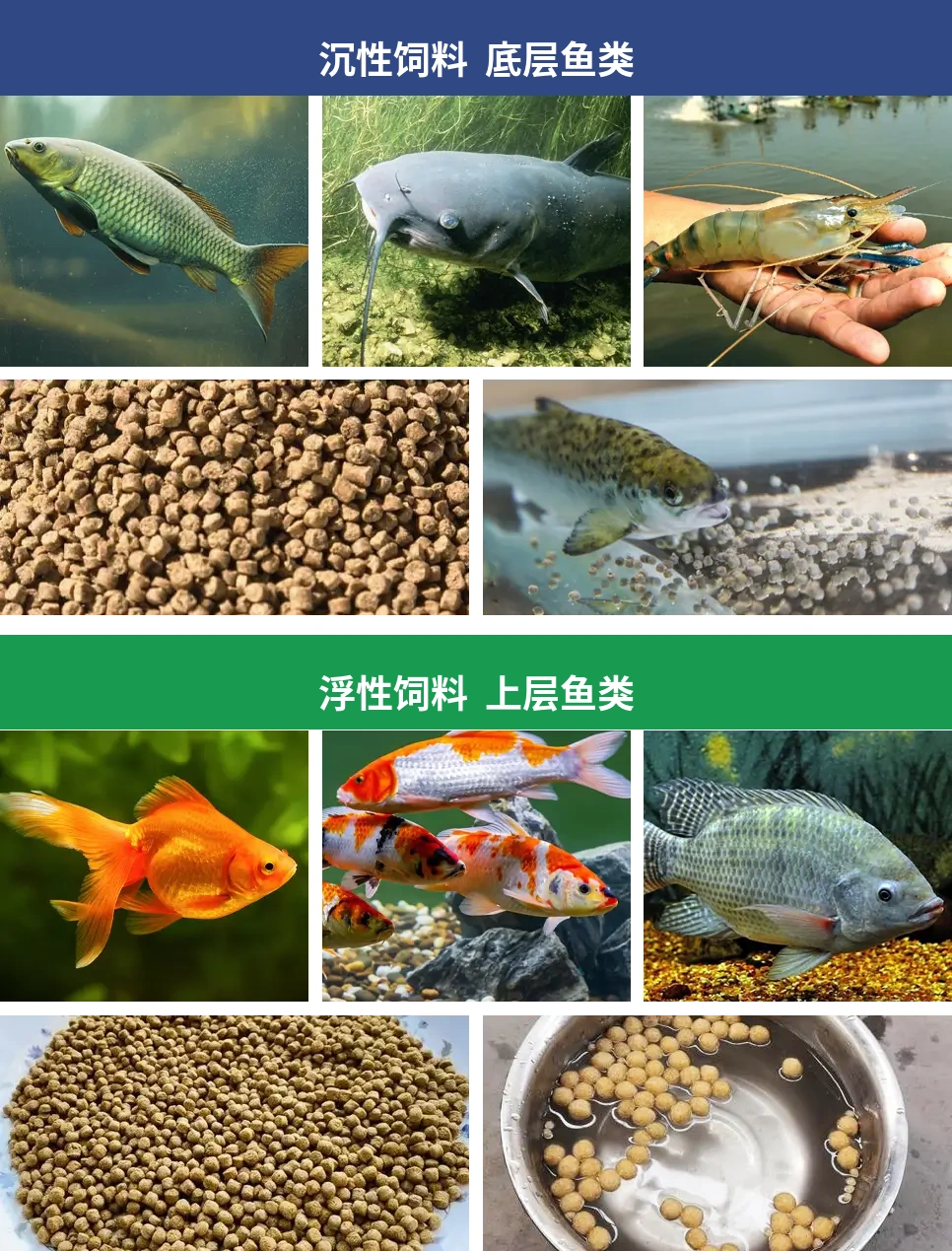 两种饲料的区别