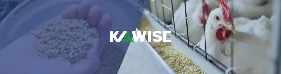 不同类型鸡饲料解析