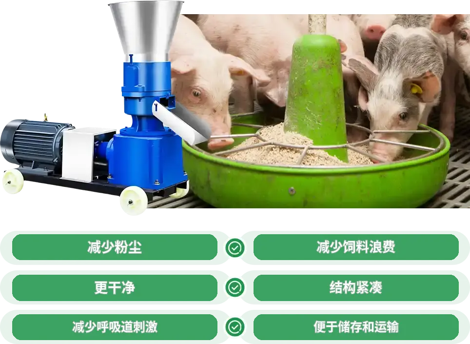 猪用颗粒饲料特点