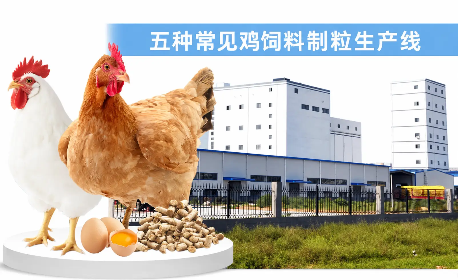 五种家禽饲料生产线
