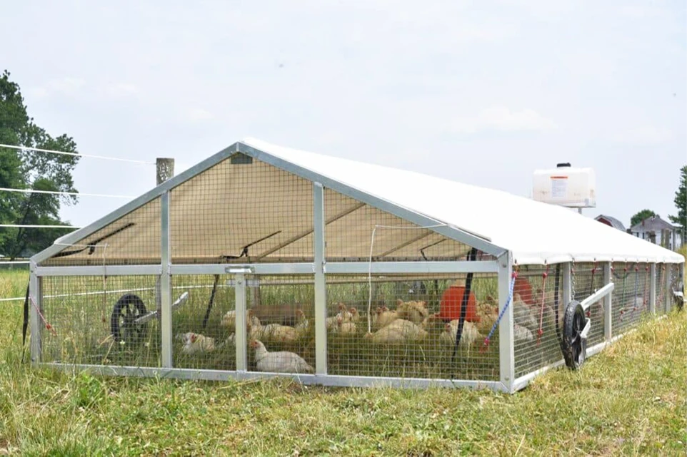 中小型肉鸡养殖场