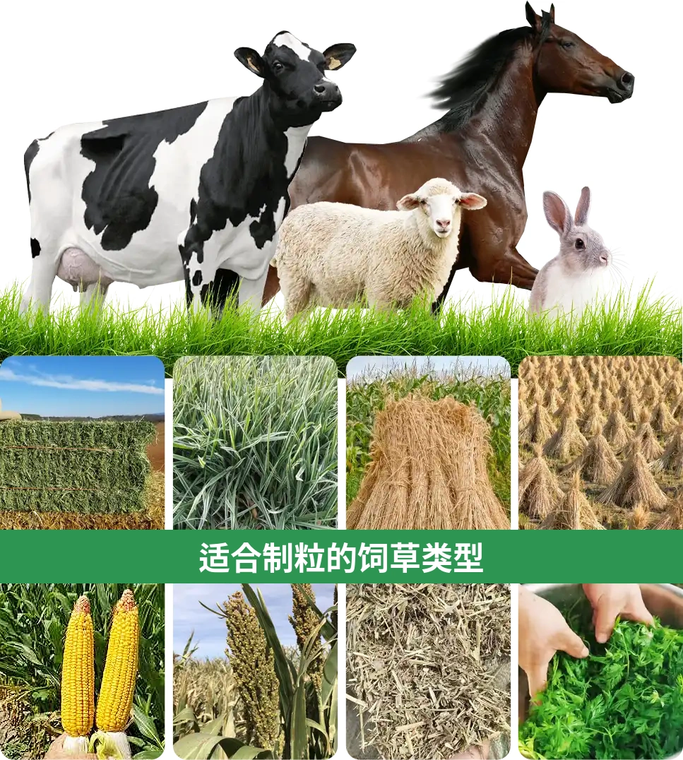 适合制粒的草料类型