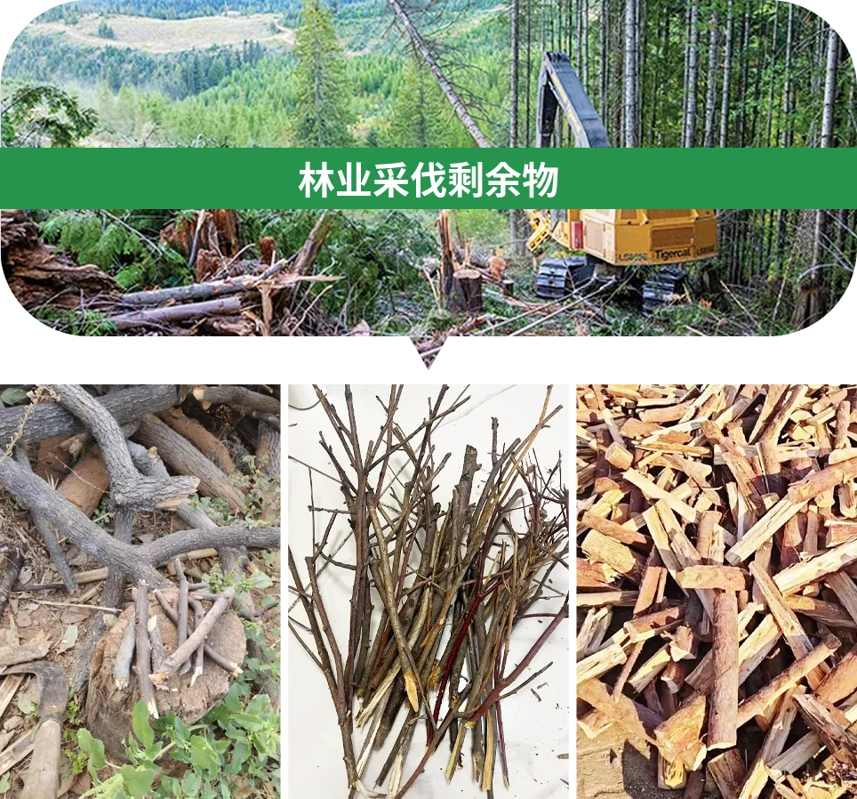 林业采伐残料