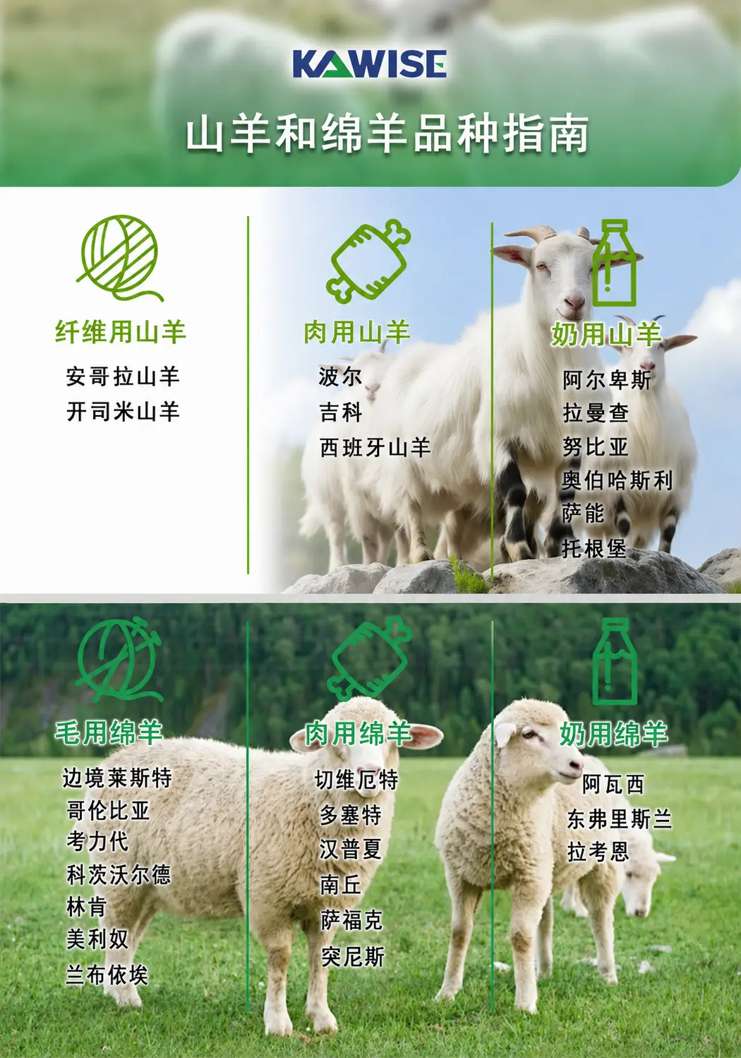 山羊和绵羊品种指南