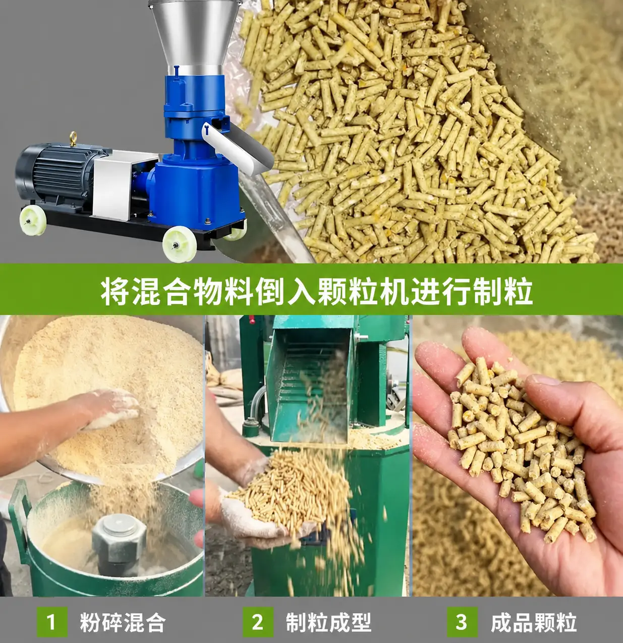 使用颗粒机制作猪饲料颗粒