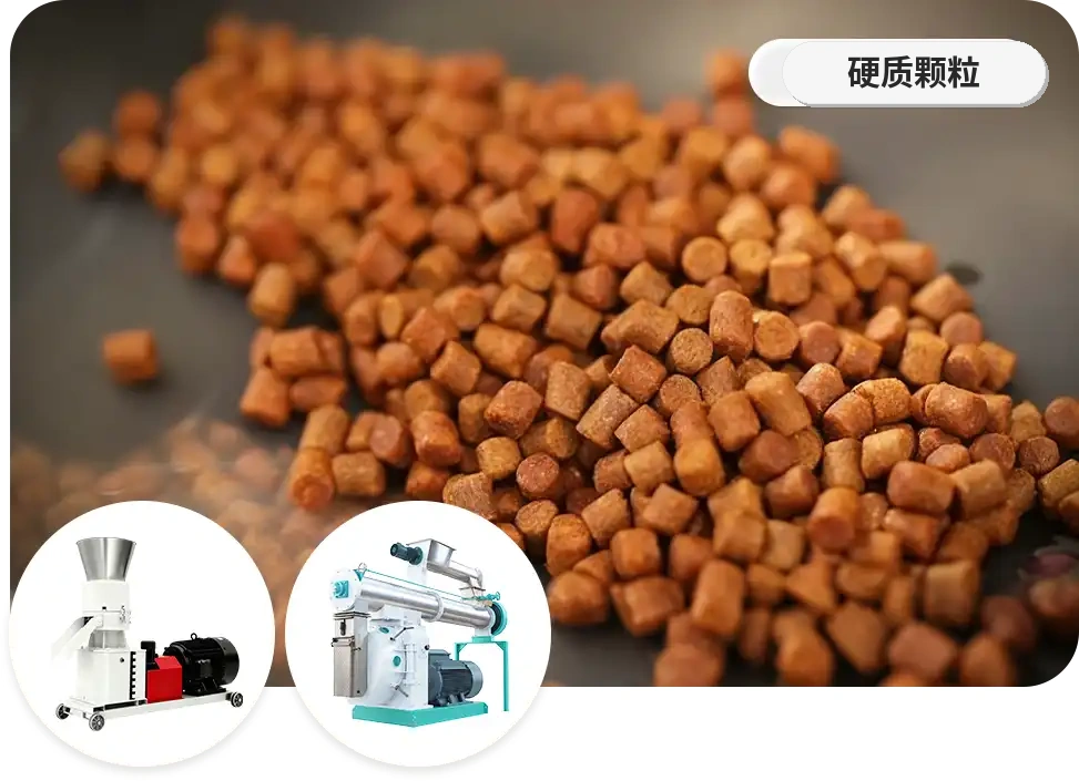 硬颗粒制作设备