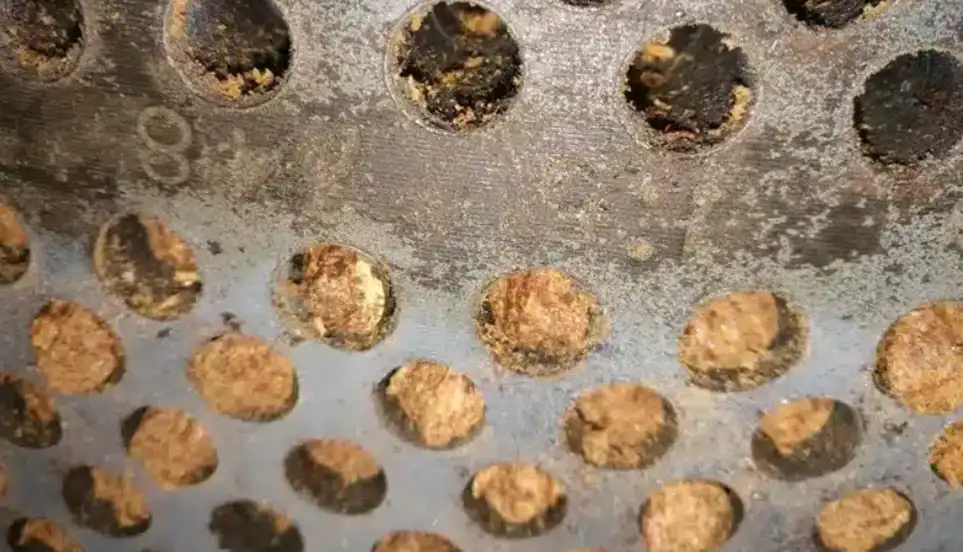 粗纤维含量高