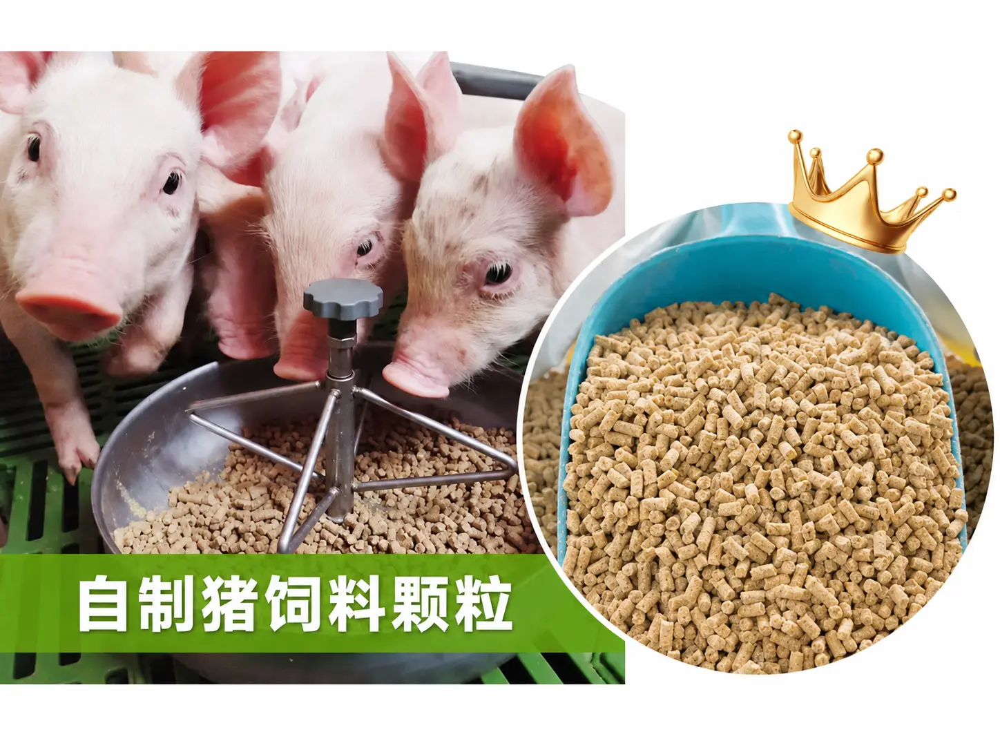 自制猪饲料颗粒