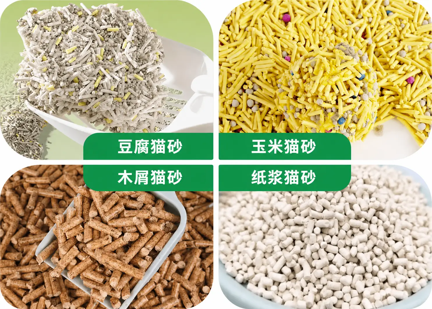 热销猫砂类型