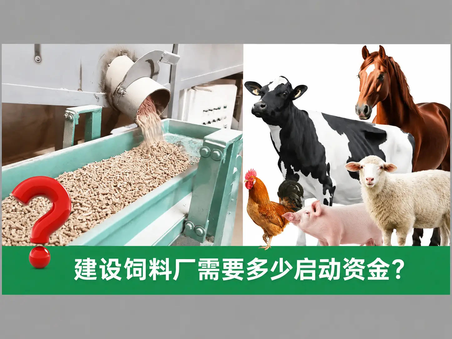 建造饲料加工厂费用