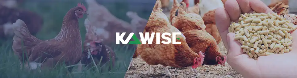 Kawise 小型家禽饲料生产线方案